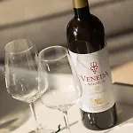 公寓 Winnica Veneda